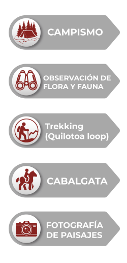 Objeto inteligente vectorial-01